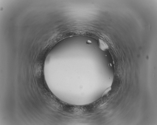 X0000089370697200707061114