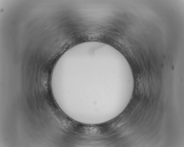 X0000089370698200707061114