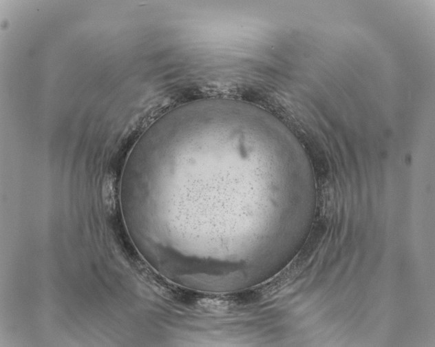 X0000089370699200707061114