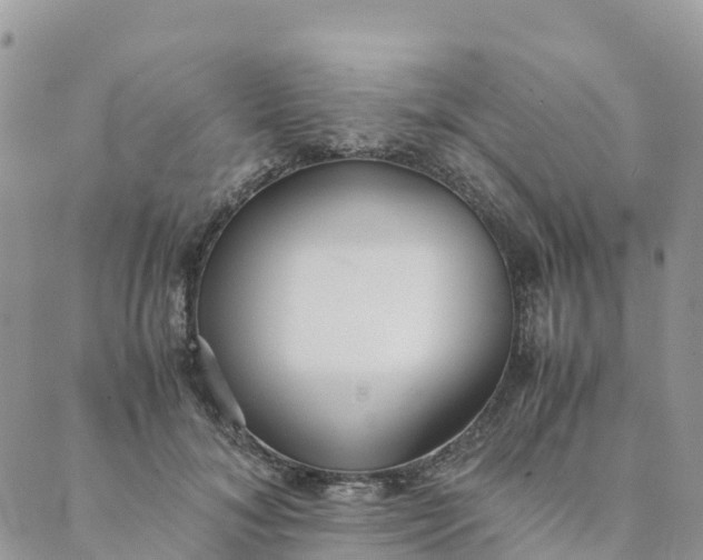 X0000089370700200707061114