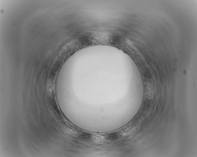 X0000089370701200707061114