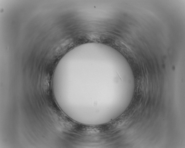 X0000089370702200707061114