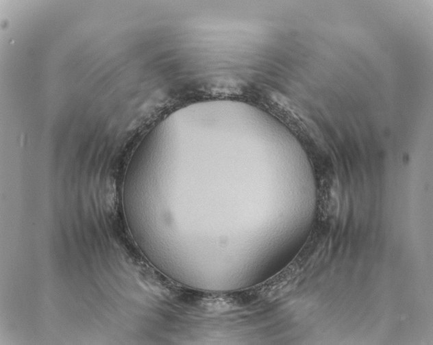 X0000089370704200707061114