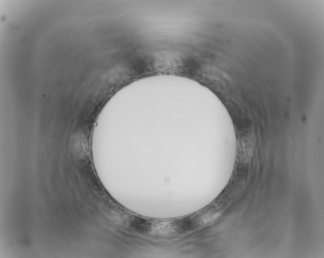 X0000089370705200707061114