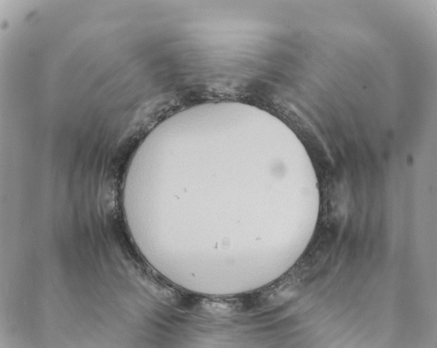 X0000089370706200707061114