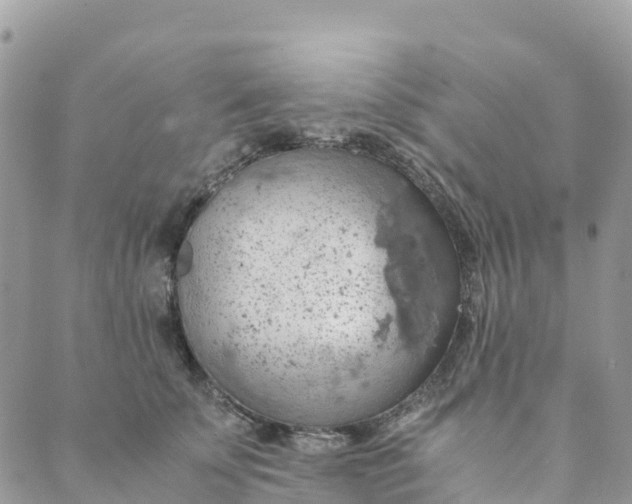 X0000089370707200707061114