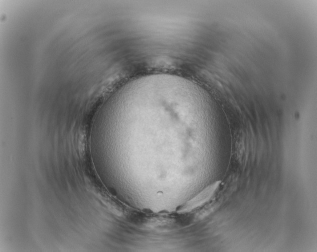 X0000089370708200707061114