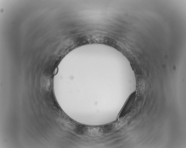 X0000089370709200707061114