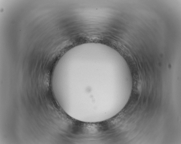 X0000089370710200707061114