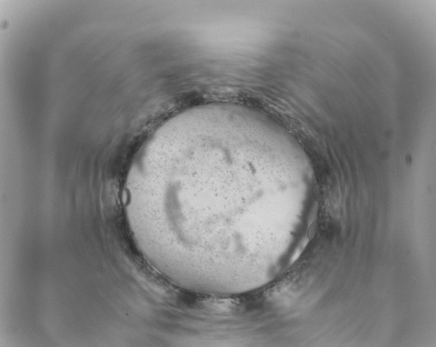 X0000089370711200707061114