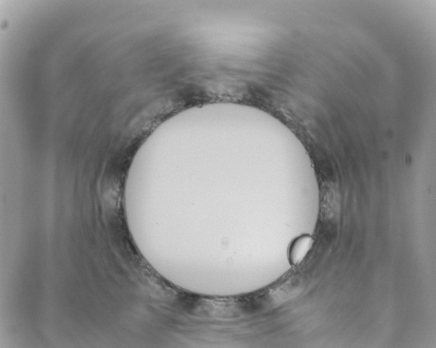 X0000089370713200707061114