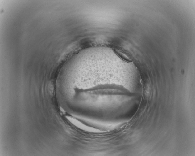 X0000089370715200707061114