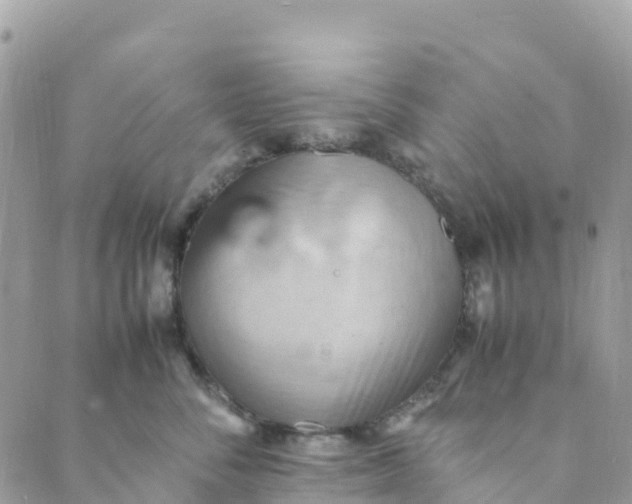 X0000089370716200707061114