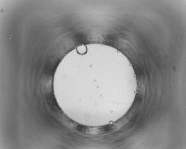 X0000089370717200707061114