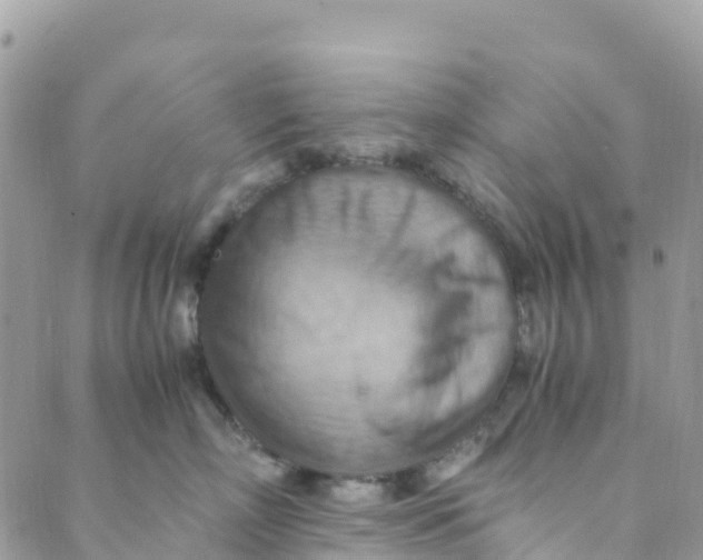 X0000089370718200707061114