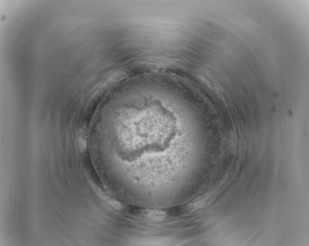 X0000089370719200707061114