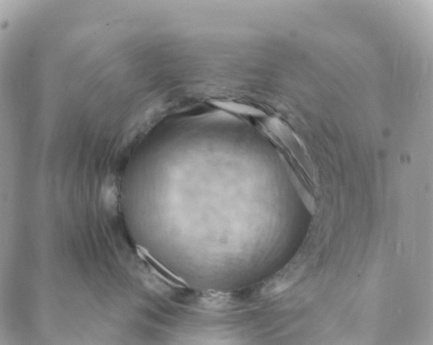 X0000089370720200707061114