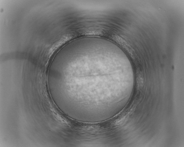 X0000089370721200707061113