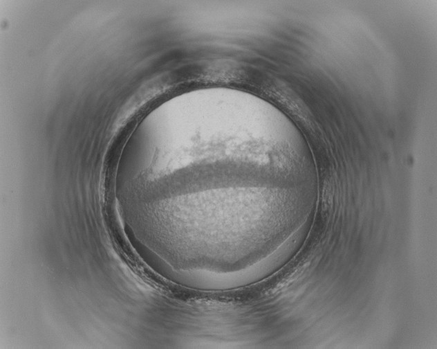 X0000089370722200707061113