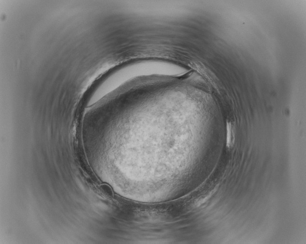 X0000089370723200707061113