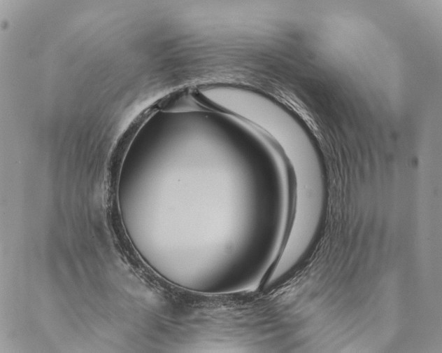 X0000089370724200707061113