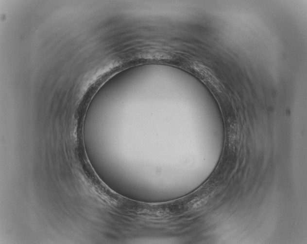 X0000089370727200707061113