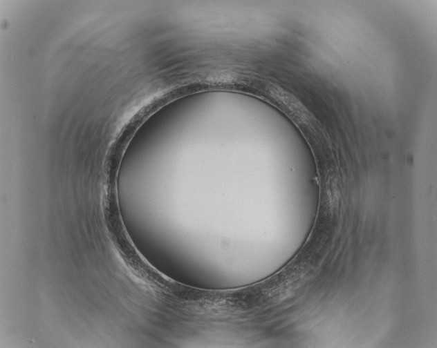 X0000089370728200707061113