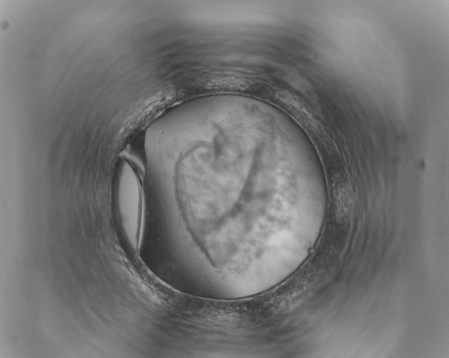 X0000089370729200707061113