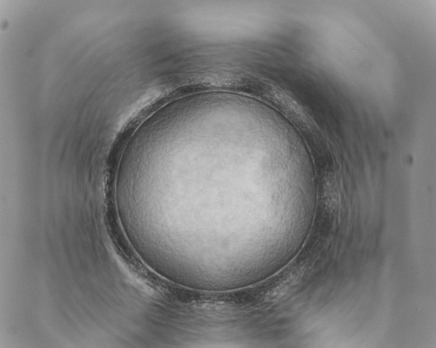 X0000089370730200707061113