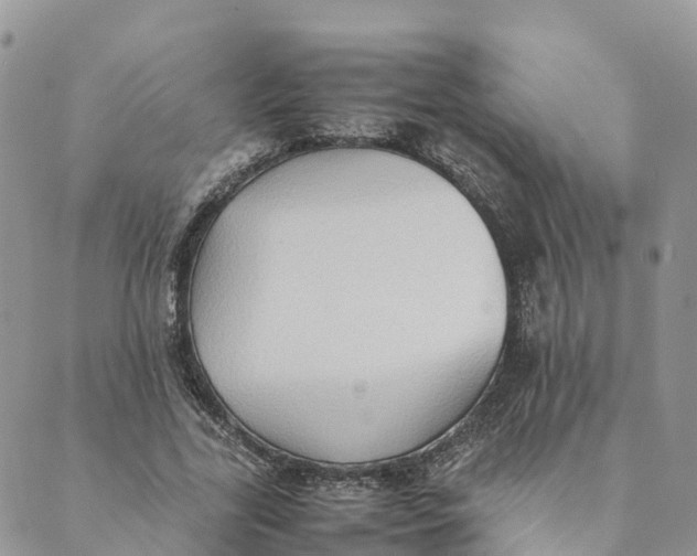 X0000089370731200707061113