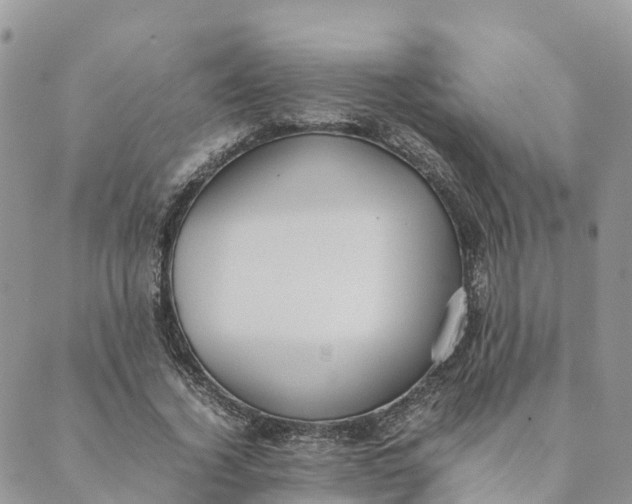 X0000089370732200707061113