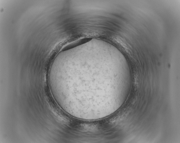 X0000089370733200707061113