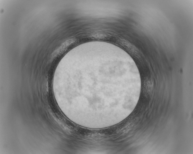 X0000089370734200707061113