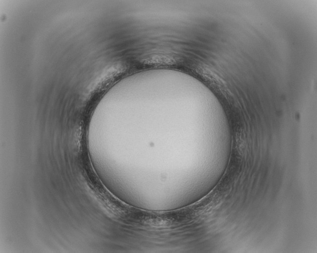 X0000089370735200707061113