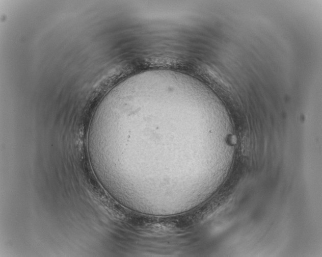 X0000089370737200707061113