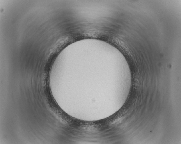 X0000089370738200707061113