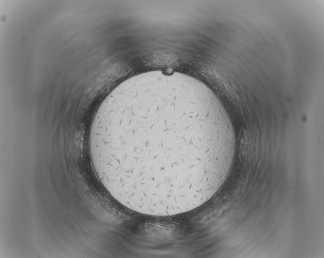 X0000089370739200707061113