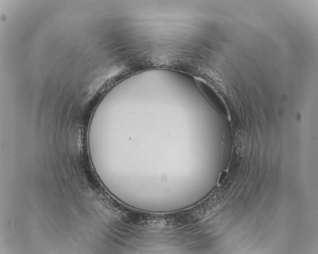 X0000089370740200707061113