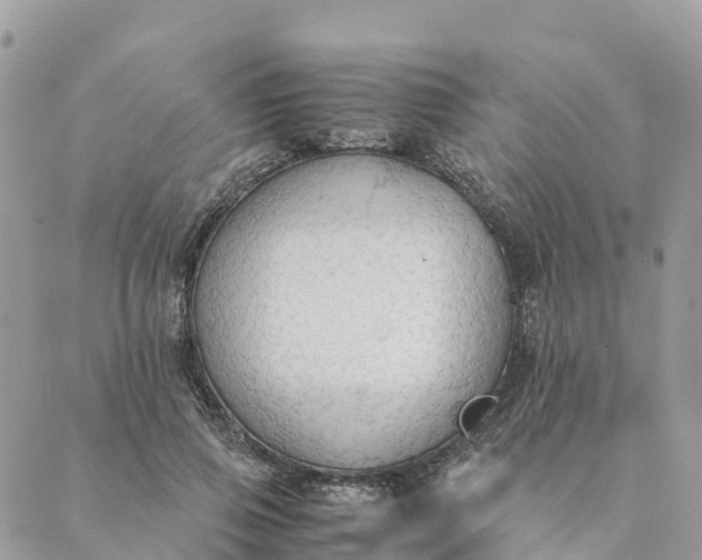 X0000089370741200707061114