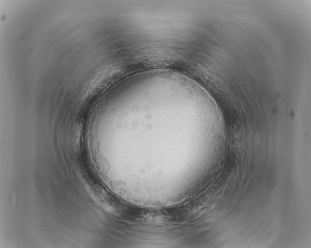 X0000089370742200707061114