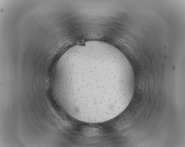 X0000089370743200707061114