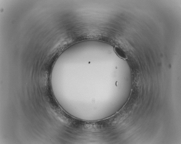 X0000089370744200707061114