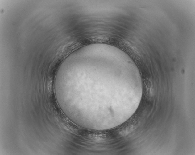 X0000089370745200707061114