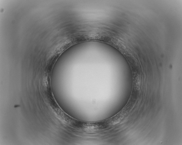 X0000089370746200707061114