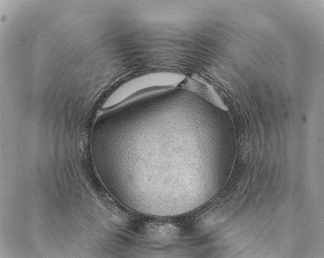 X0000089370747200707061114