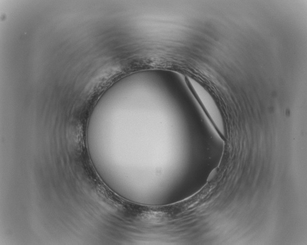 X0000089370748200707061114