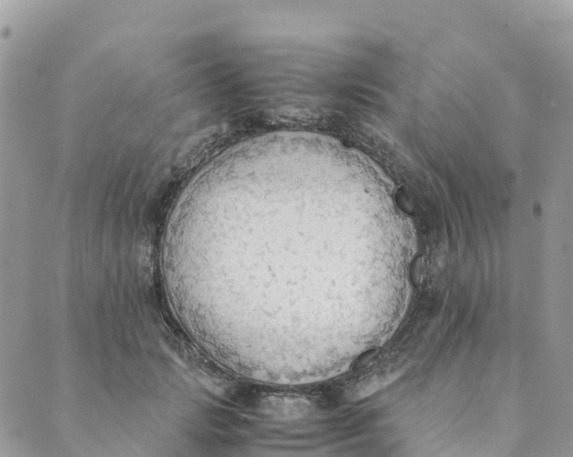 X0000089370749200707061114