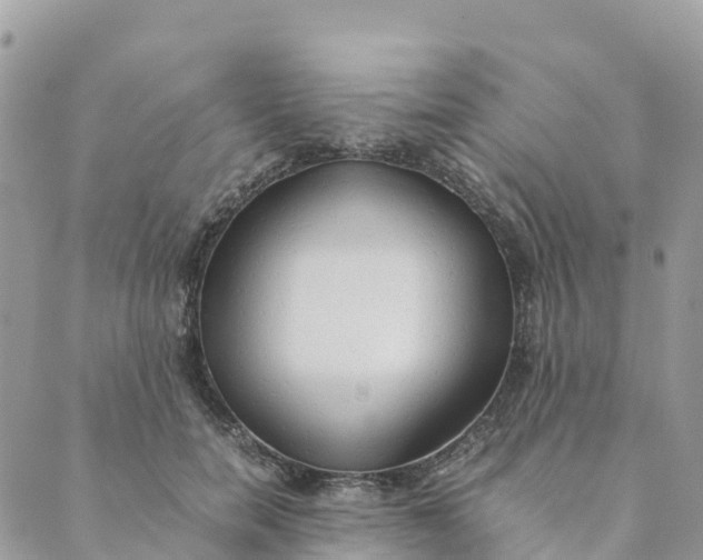 X0000089370750200707061114