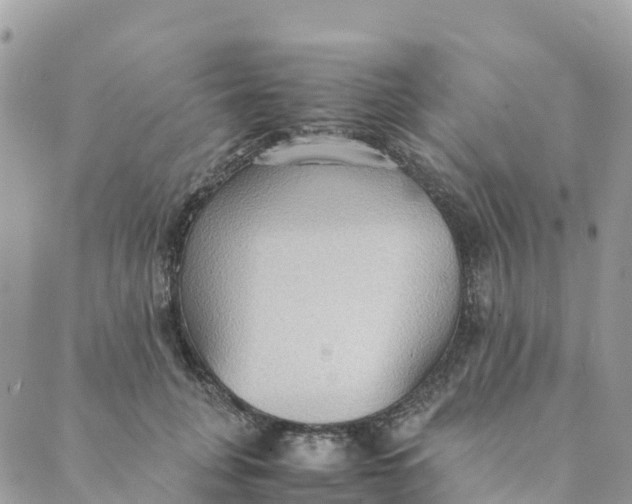 X0000089370751200707061114