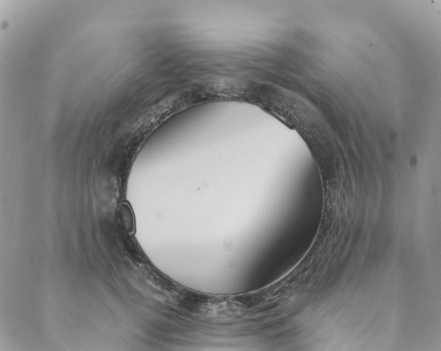 X0000089370752200707061114